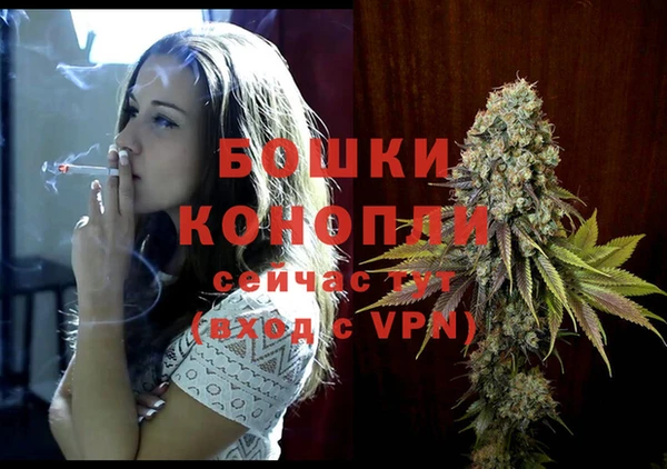 ПСИЛОЦИБИНОВЫЕ ГРИБЫ Богданович