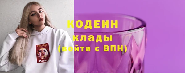 ПСИЛОЦИБИНОВЫЕ ГРИБЫ Богданович