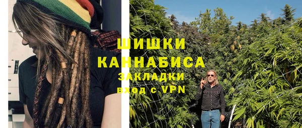 ПСИЛОЦИБИНОВЫЕ ГРИБЫ Богданович