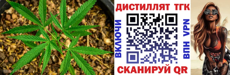 ТГК гашишное масло  продажа наркотиков  Великий Устюг 